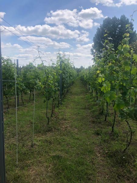 5e92fb73-2354-4014-b443-c3511870e3f4