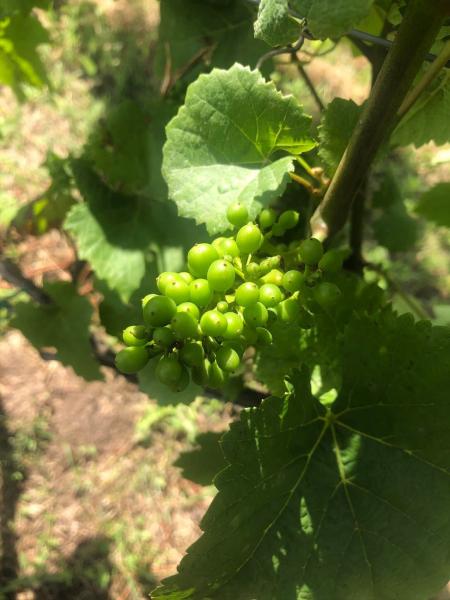 bf85d9e8-0185-47e4-8853-77f0c7498377