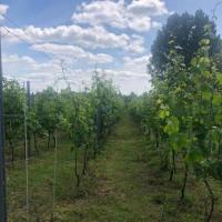 5e92fb73-2354-4014-b443-c3511870e3f4