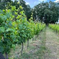 PHOTO-2025-07-01-14-01-35